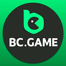 Découvrez le meilleur de l'univers du jeu avec BC Game Casino FR